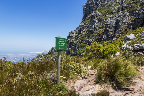 table mountain national park green road