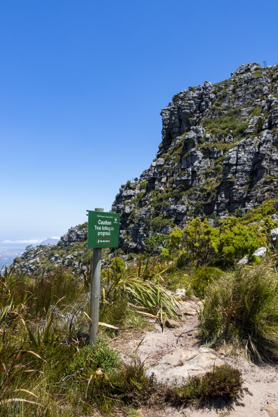 table mountain national park green road