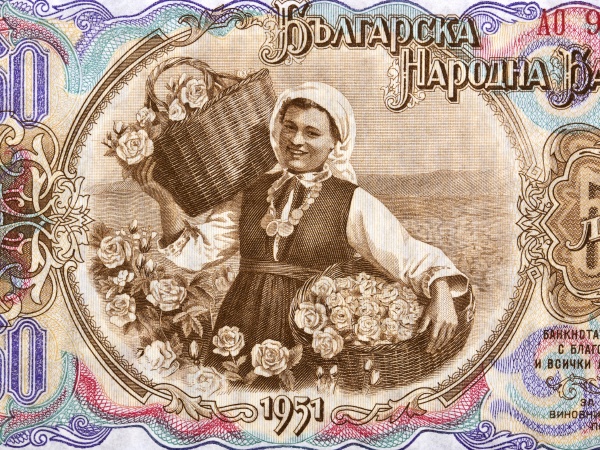 Media-id 30924204