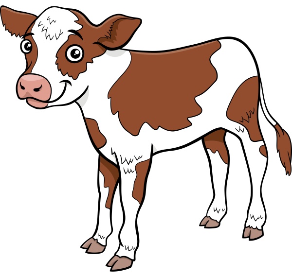 Cartoon Calf Farm Animal Comic Character - Stock Photo - #30957743 