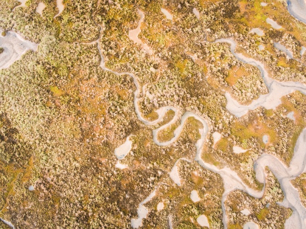 aerial photography of the ria formosa