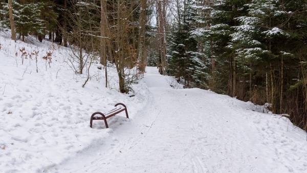 bench in a park at snowy
