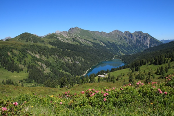 idyllic mountain landscape near gstaad
