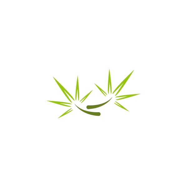 bamboo tree logo icon design illustration