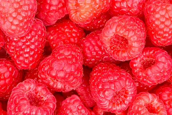raspberry berry raspberries berries fruits fruit