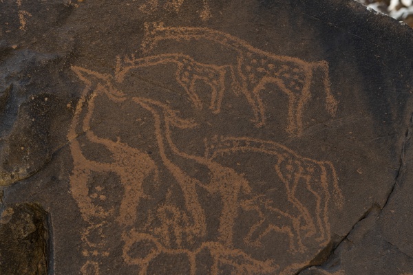 prehistoric rock carvings arakao