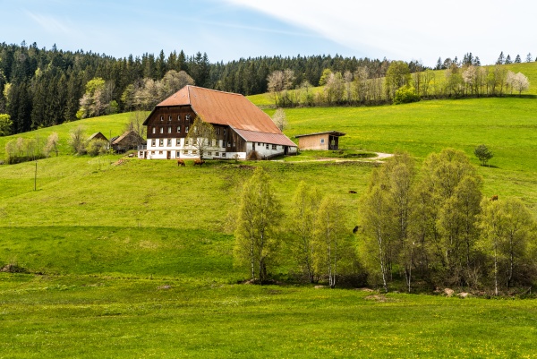 traditional black forest farmhouse on a