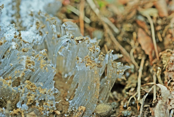 macro picture of ice crystals exuding