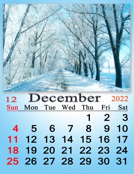calendar for december 2022 with picture