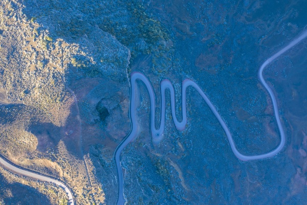 Media-id 31040535
