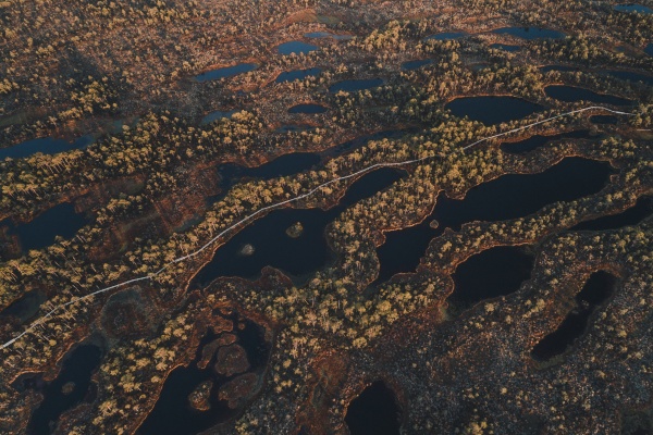 aerial view of springtime bog lakes