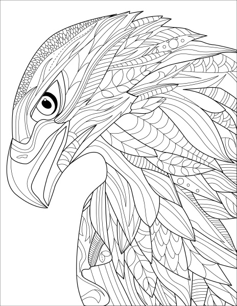 eagle head line drawing with geometric