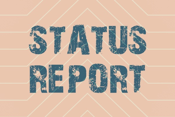 conceptual display status report word