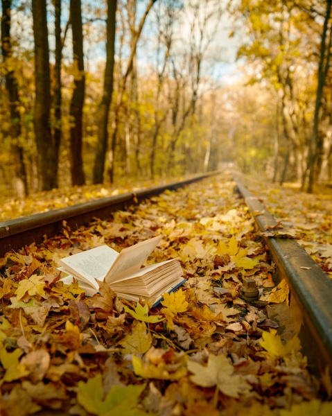 an open book at railroad track