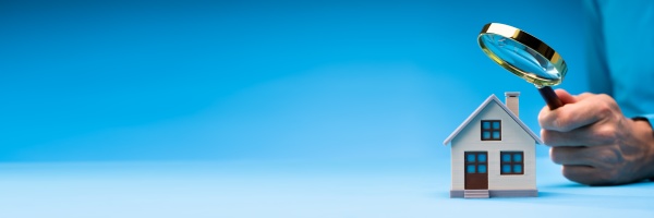 Media-id 31081226