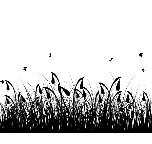 Media-id 31096019