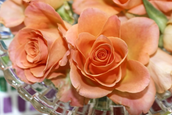 Media-id 31113580