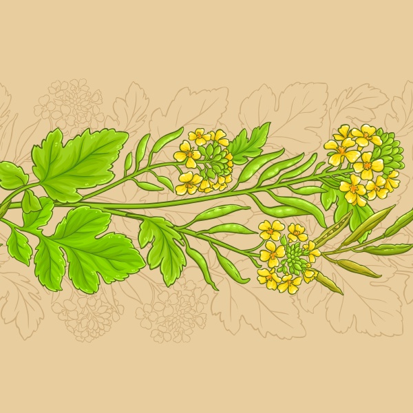 mustard vector pattern
