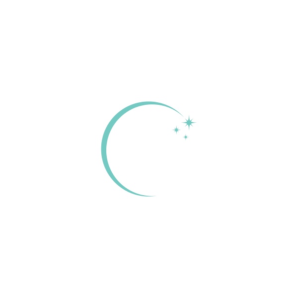 moon icon logo flat design illustration