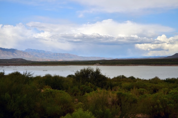 roosevelt lake arizona