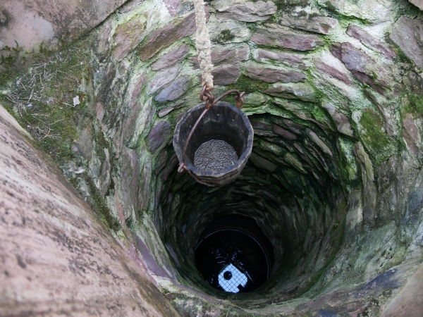 old open bucket well in forest