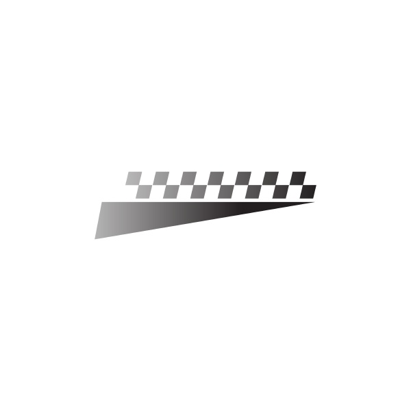 flag race icon design template vector