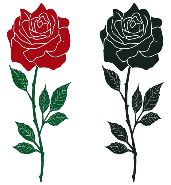 rose vector with abstract branch and