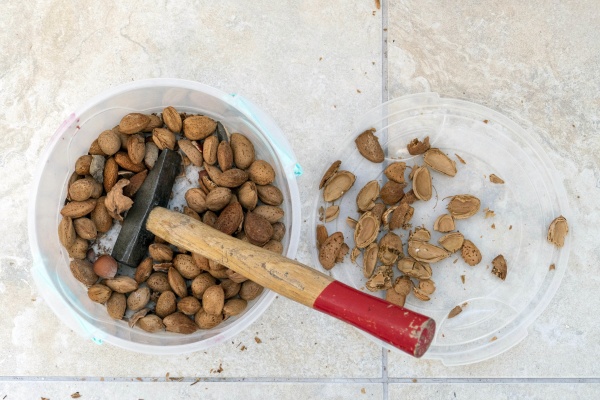 break dry shelled almonds with hammer
