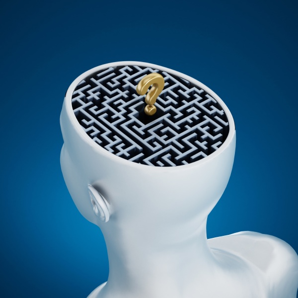 labyrinth inside human head
