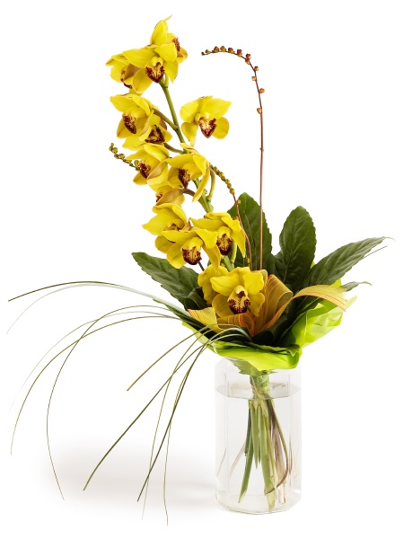 yellow orchid i