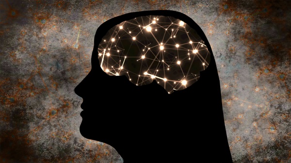 portrait of woman silhouette with brain