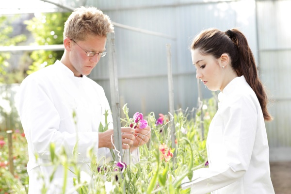 scientists examining plants together