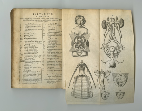 medical journal an old anatomy