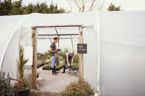 garden shop owners working in greenhouse