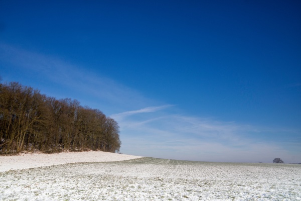 wide open winter landscape near the