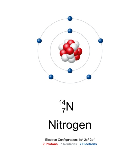 Nitrogen atom model of nitrogen-14 with 7 protons 7 - Royalty free ...