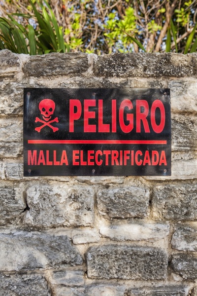 Media-id 35505961