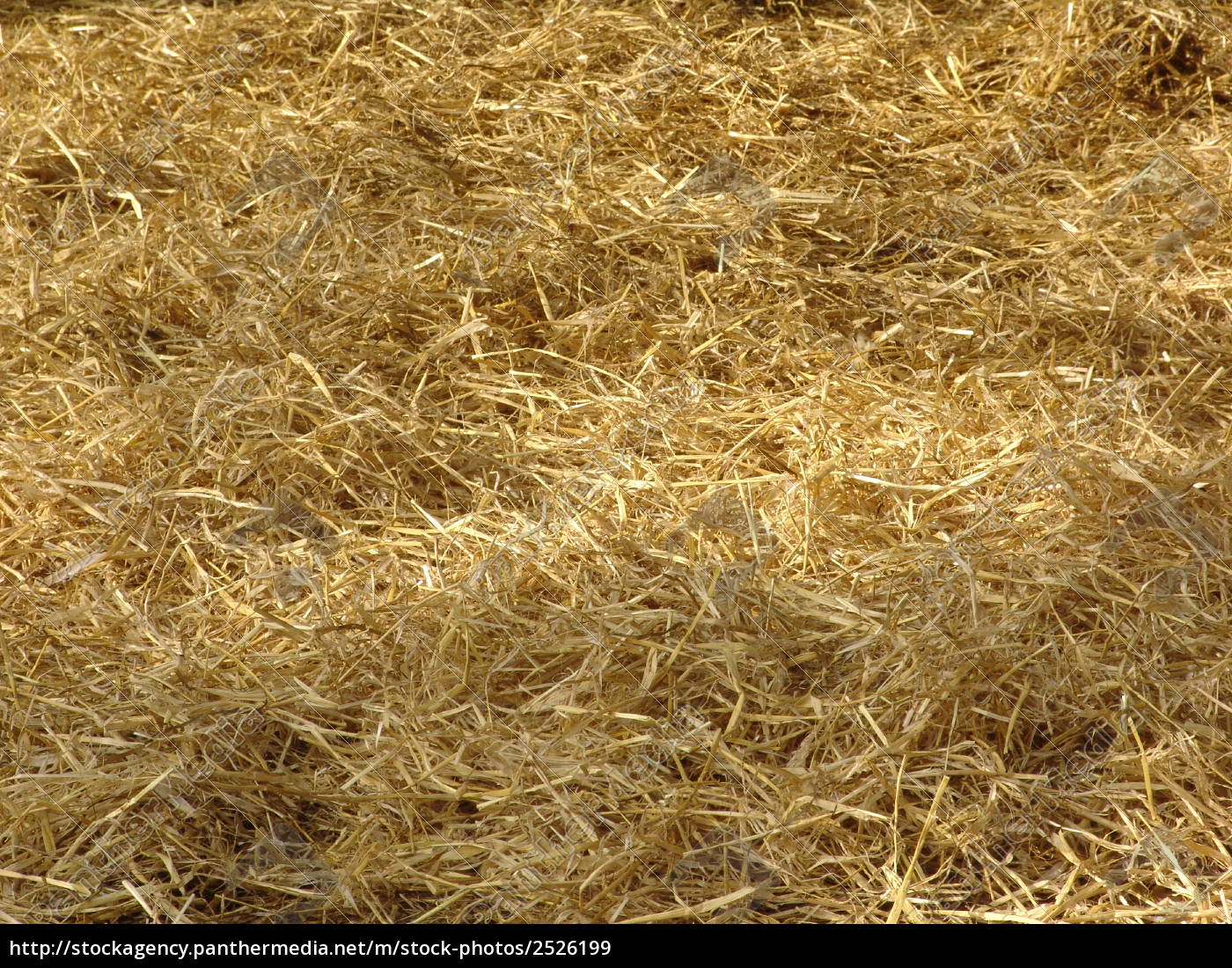 Hay Straw Barn Shadow Stock Photo 2526199 Panthermedia