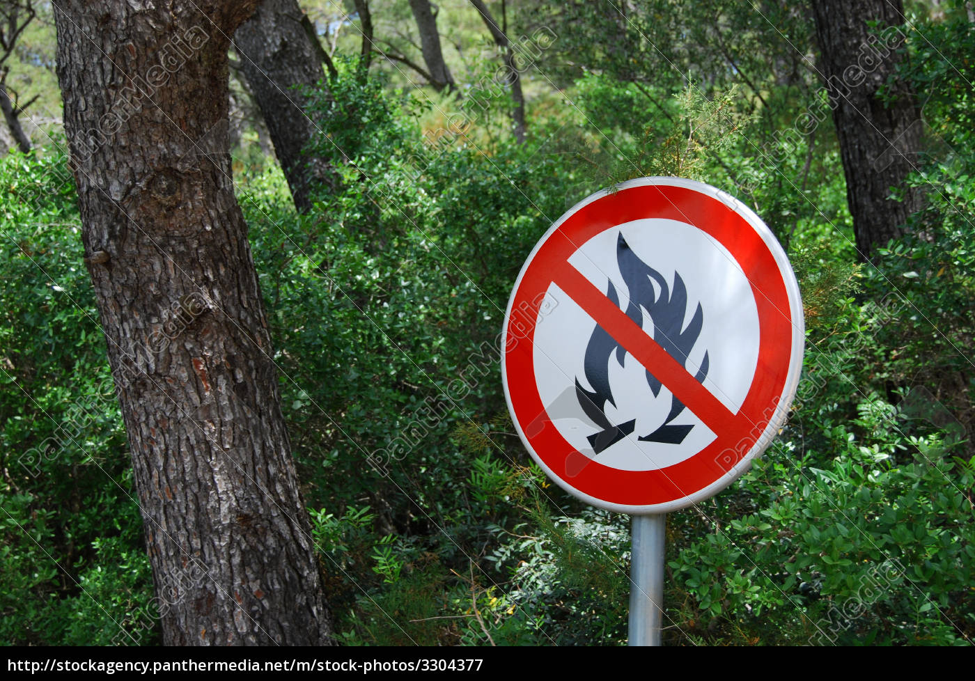 forest fire hazard - Royalty free image - #3304377 | PantherMedia Stock ...