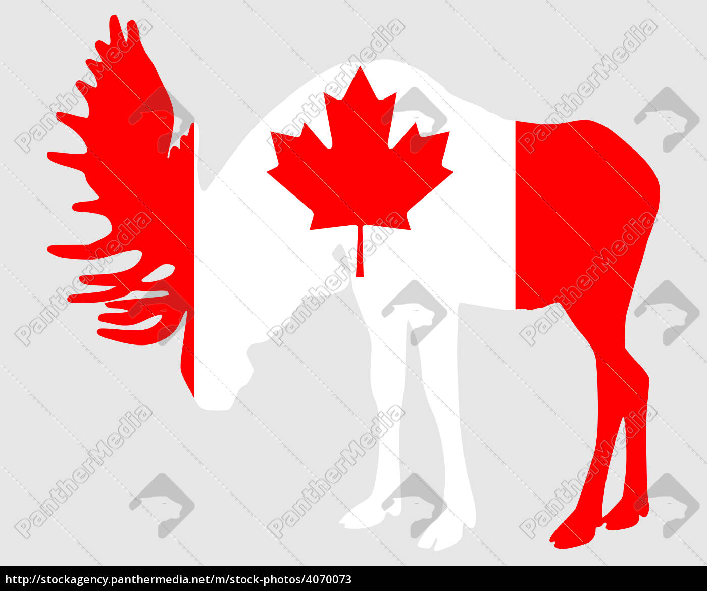 Moose In Canada Flag Royalty Free Image 4070073 Panthermedia Stock Agency