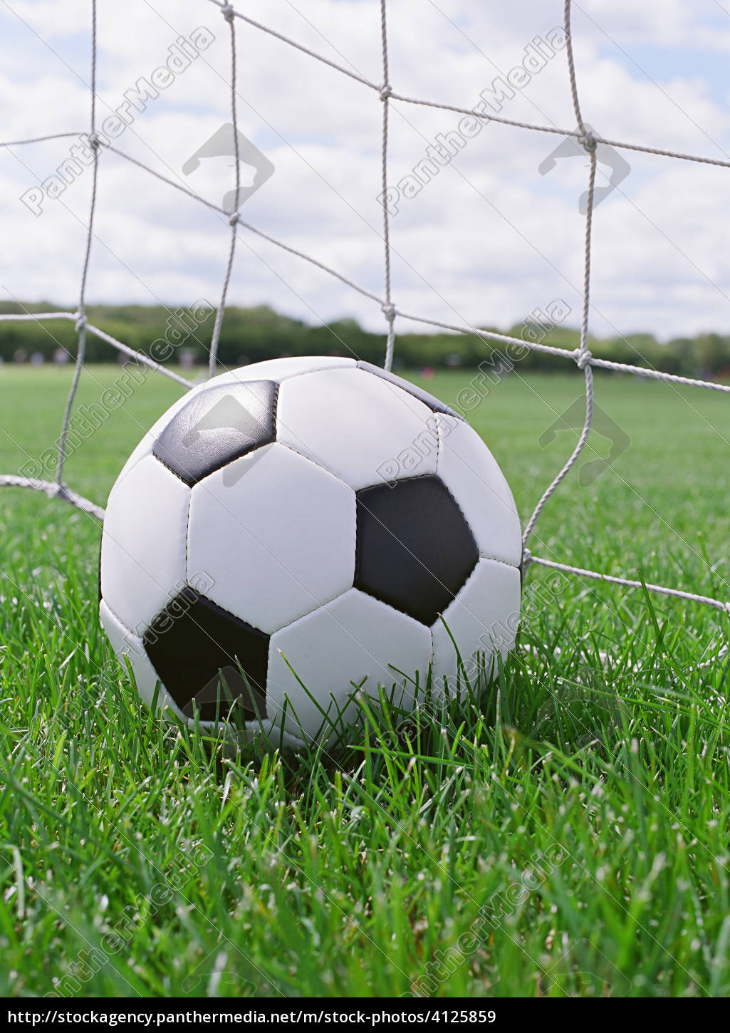 Soccer Ball On The Pitch Field With Goal In Background Stock Photo Panthermedia Stock Agency