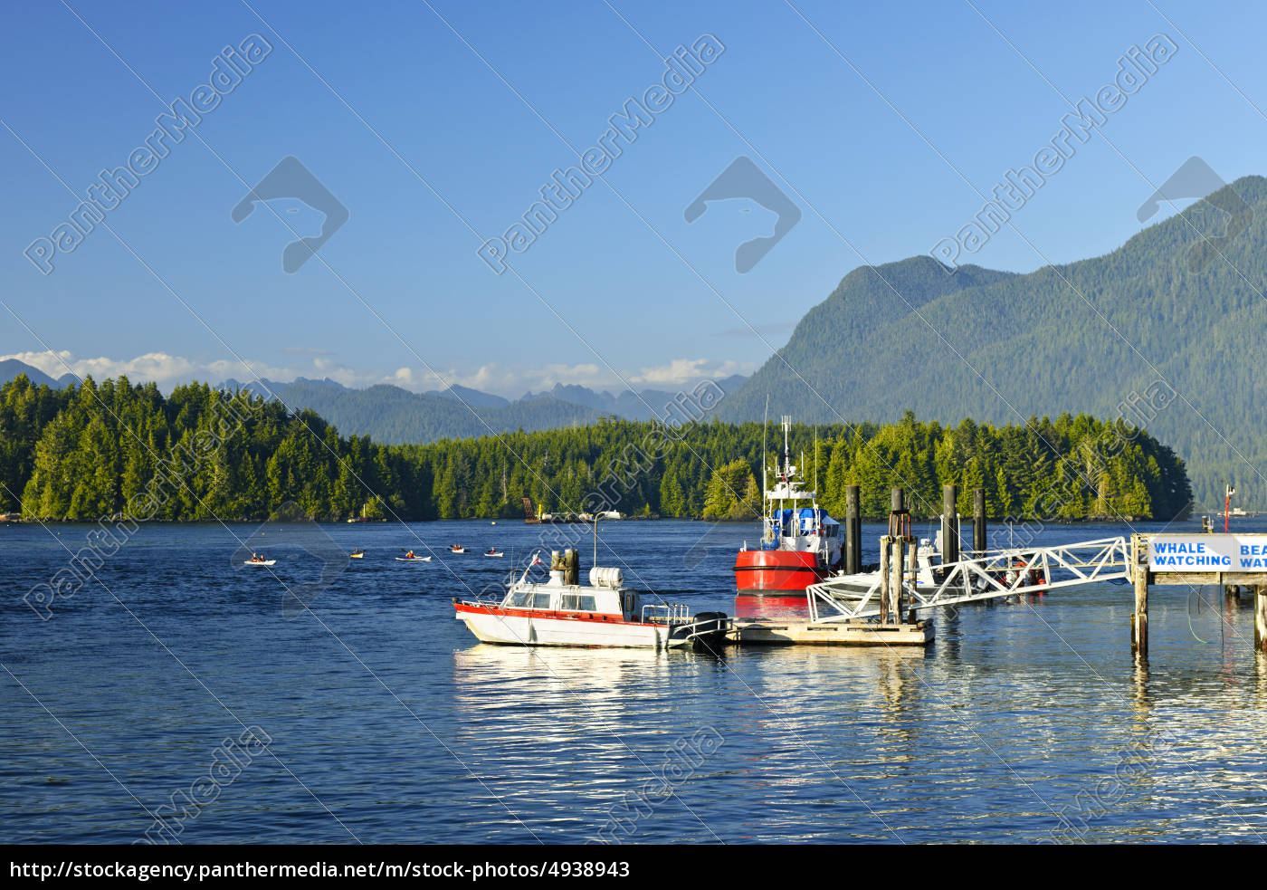 Boats At Dock In Tofino Vancouver Island Canada Stock Photo Panthermedia Stock Agency