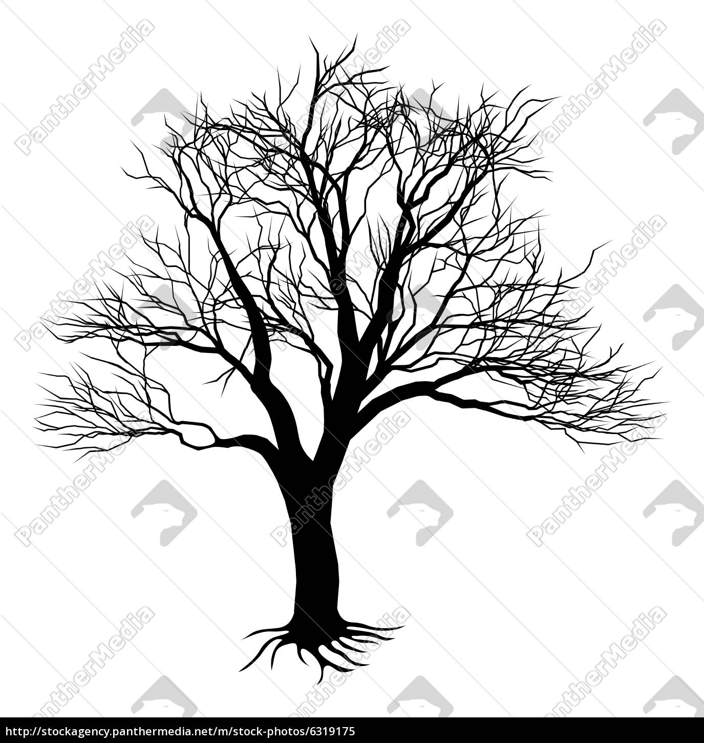 Bare Tree Silhouette Stock Photo Panthermedia Stock Agency