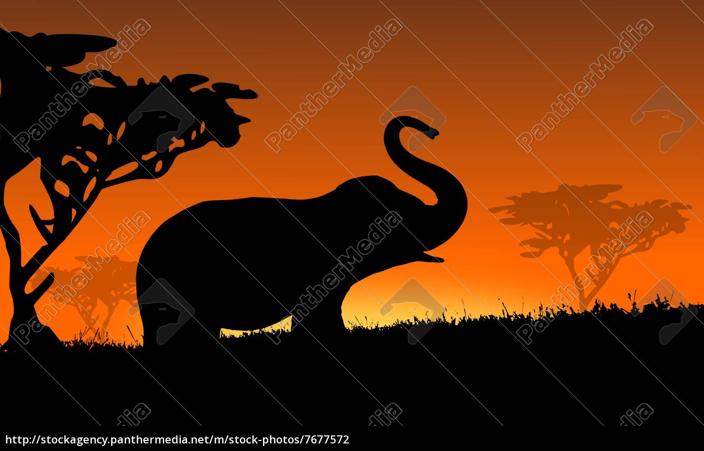 Elephant In Africa Sunset Royalty Free Photo Panthermedia Stock Agency