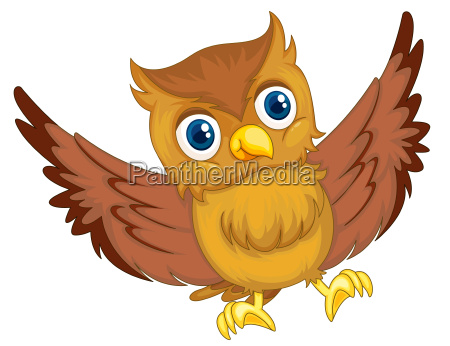 owl - Royalty free photo #8104604 | PantherMedia Stock Agency