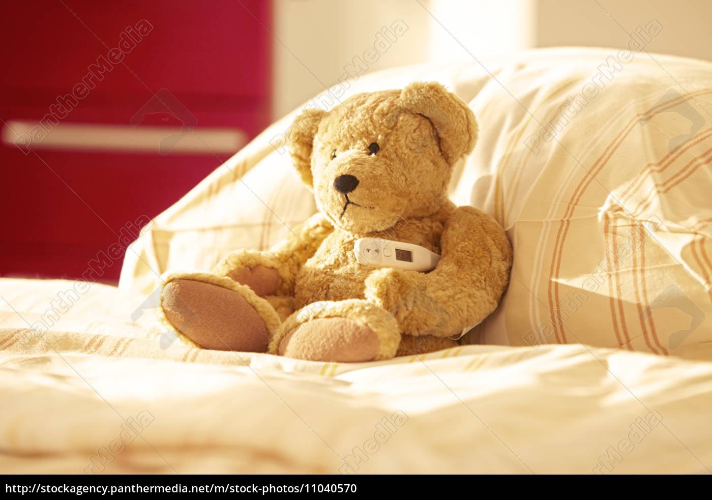 bed teddy