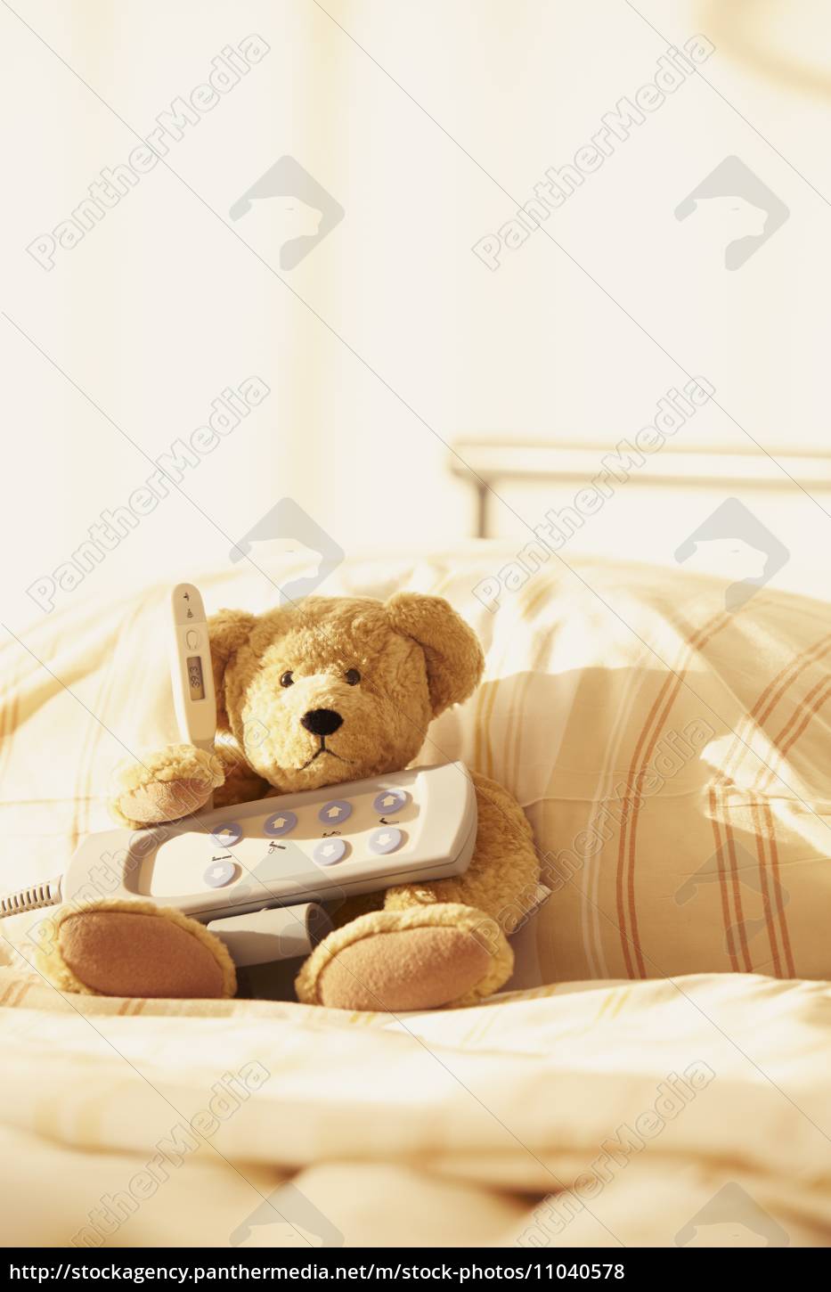 teddy bear bed