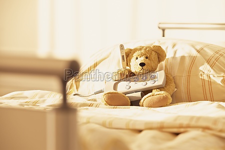 remote control teddy