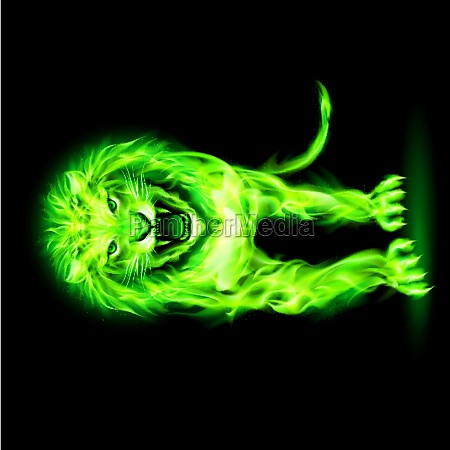 Green fire lion - Stock Photo #11454907 | PantherMedia Stock Agency