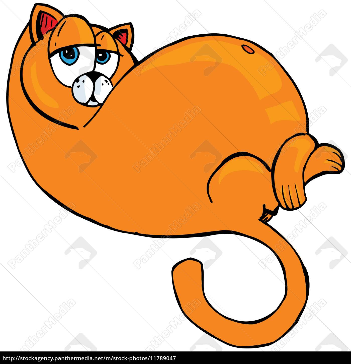 obese orange cats